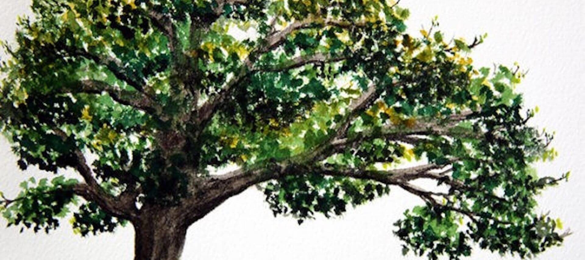 a painting of a oak tree with various shades of green leaves